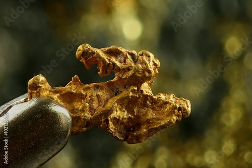 Nugget of gold. This is hand-panned gold from the Lemmenjoki national park in finnish Lapland.