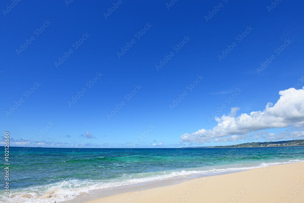 Fototapeta premium 南国沖縄の紺碧の空と夏雲
