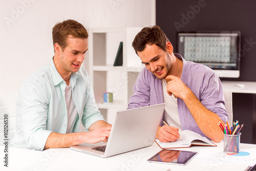 Attractive businessmen co-working