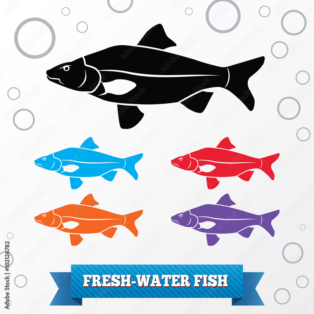 Fish icon. Food symbol. Cyprinidae family Crucian . Fresh-water, fish color signs with label on white background. Vector isolated.