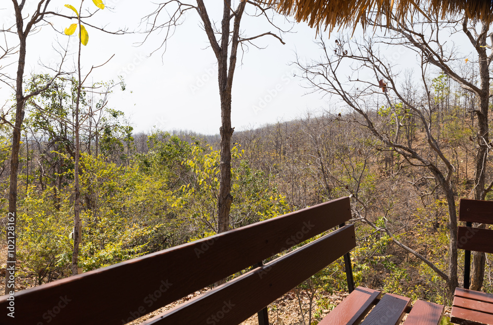 Fototapeta premium wooden bench in gazebo on the hill in forest
