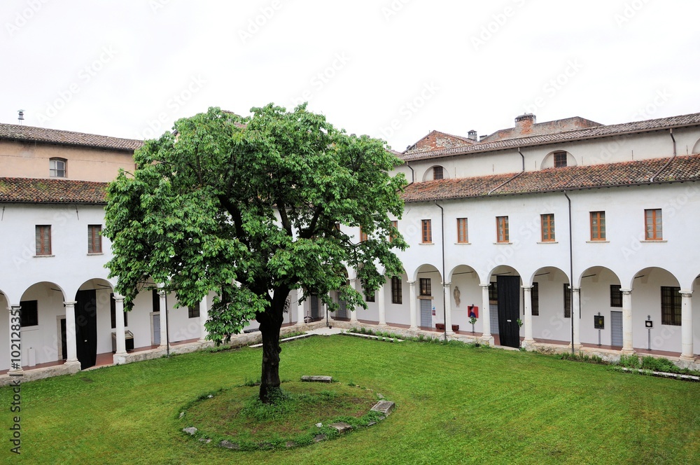 Inside the former Franciscan monastery with big cherry tree. Renaissance architecture.