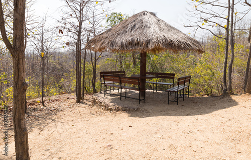 wooden bench in gazebo on the hill in forest