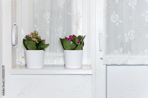 Two Pots on the Windowsill.