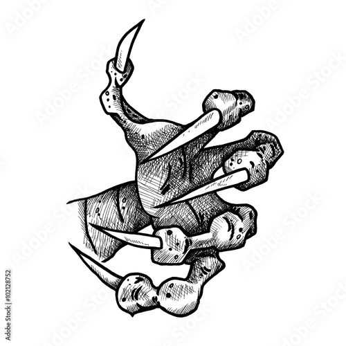 Dragon or monster paw