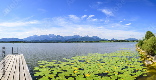 malerische Landschaft am Hopfensee im Allgäu photo