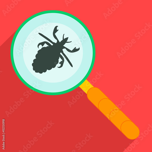 Magnifer with beetle