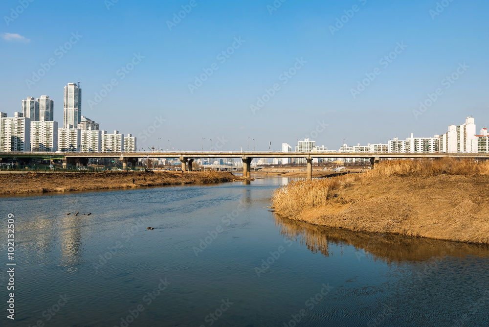 Bridge in Seoul with river