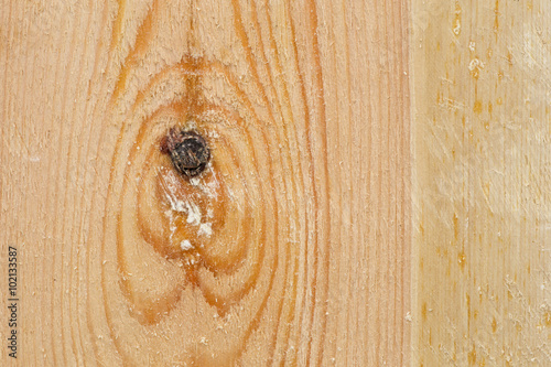 Pine Wood Plank Texture Light Brown With Knots and Resin