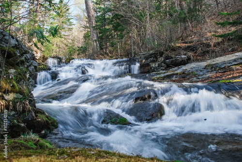 forest waterfall