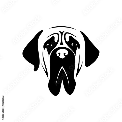 Mastiff dog