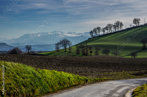 Campagna Marchigiana