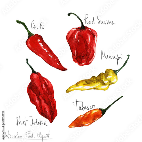 Watercolor Food Clipart - Peppers photo