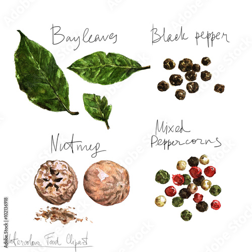 Watercolor Food Clipart - Spices photo