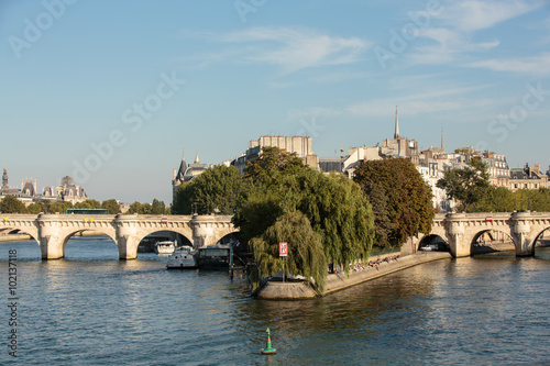 Pont Neuf and Cite Island in Paris, France © wjarek