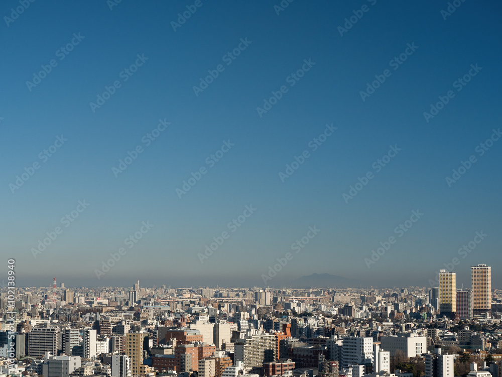 Fototapeta premium 東京の街並み
