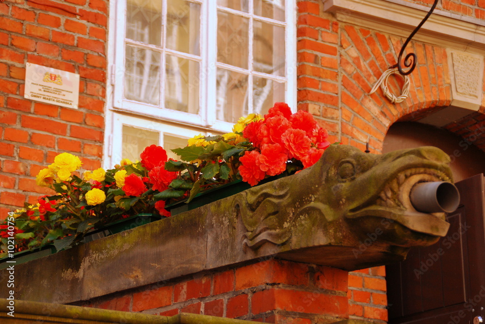 Fototapeta premium Danzig - Wasserspeier in der Frauengasse