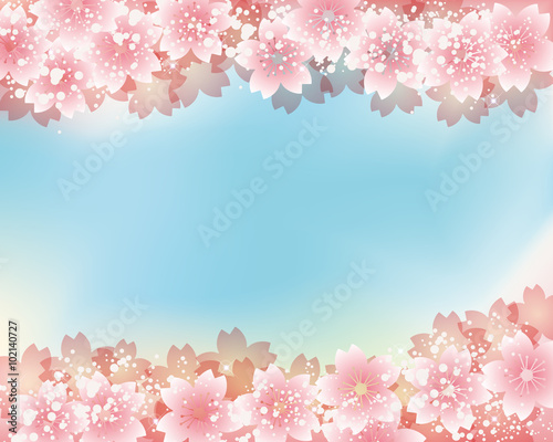 cherry blossom background