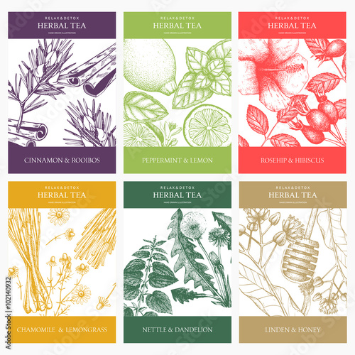 Botanical collection of decorative designs with hand drawn herbal tea ingredients. Vector set of vintage templates with herbs and spice sketch 