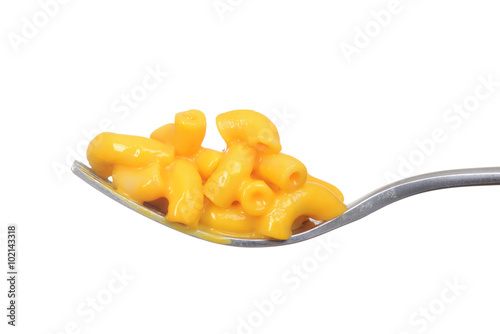 isolated macaroni and cheese on a fork