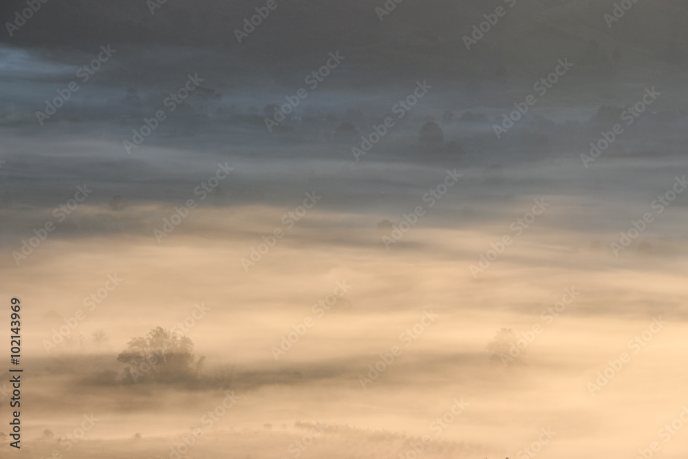 A foggy morning in a top mountain landscape A foggy morning in a top mountain landscape