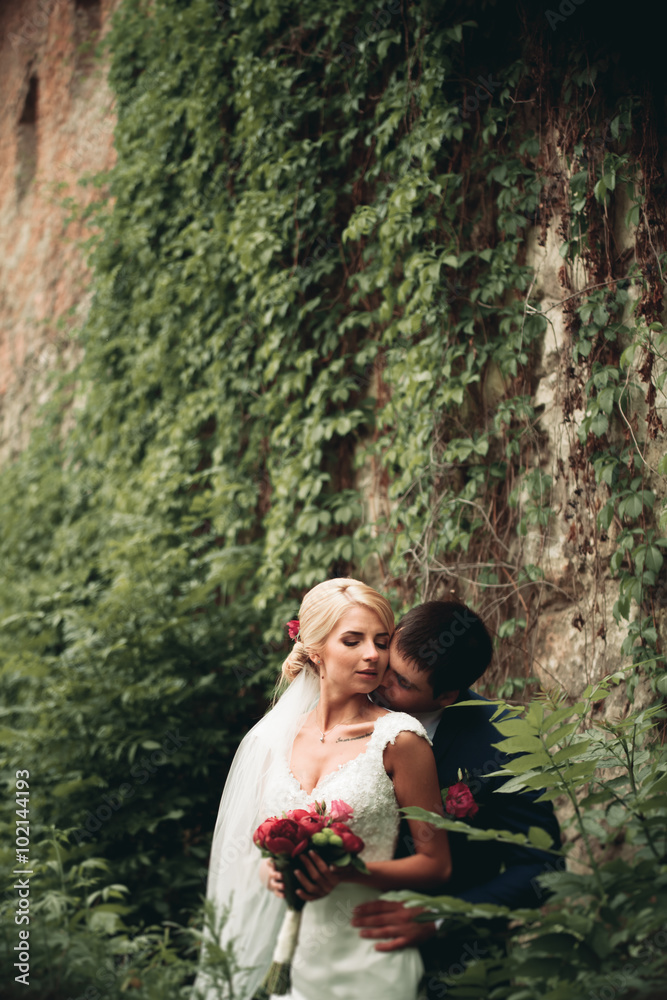 Stylish beautiful couple of happy newlyweds on a walk in the sunny autumn park on their wedding day Stylish beautiful couple of happy newlyweds on a walk in the sunny autumn park on their wedding day