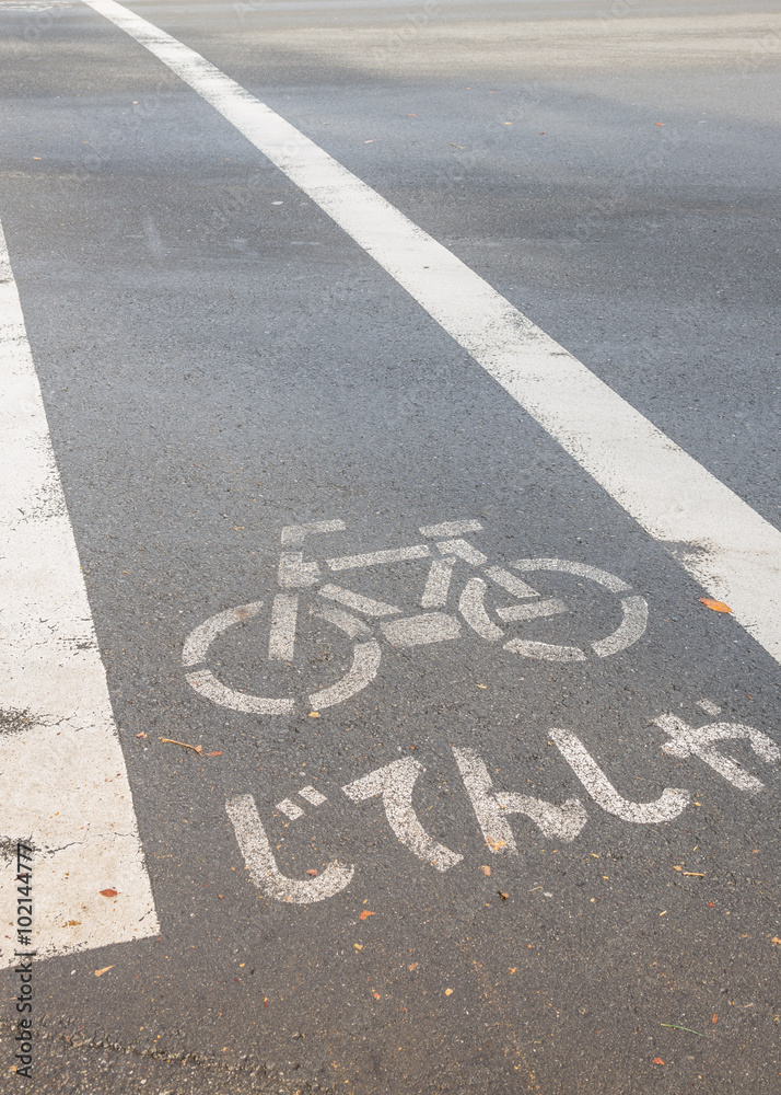 Fototapeta premium Sign for Bike lane in Japanese language on the road
