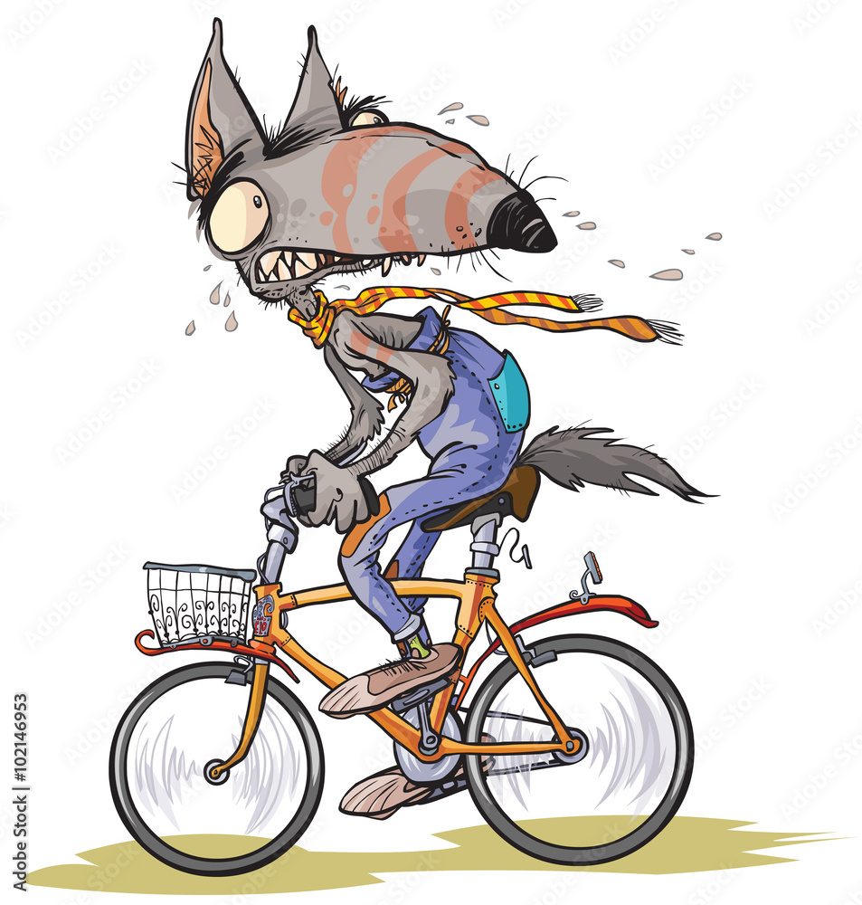 Funny frightened wolf rides a bike. Funny frightened wolf rides a bike.