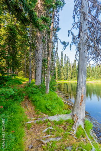 Majestic mountain lake in Canada. Lightning Lake in Manning Park in British Columbia. Lake Trail View.