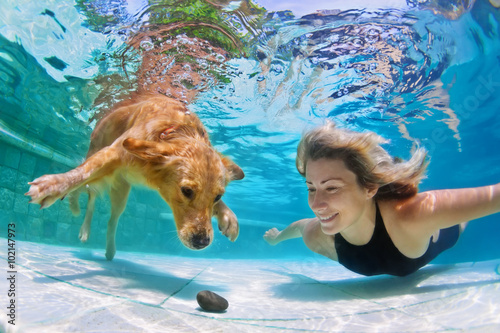 Smiley woman playing with fun and training golden retriever puppy in swimming pool - jump and dive underwater to retrieve stone. Active games with family pets and popular dog breeds like a companion.
