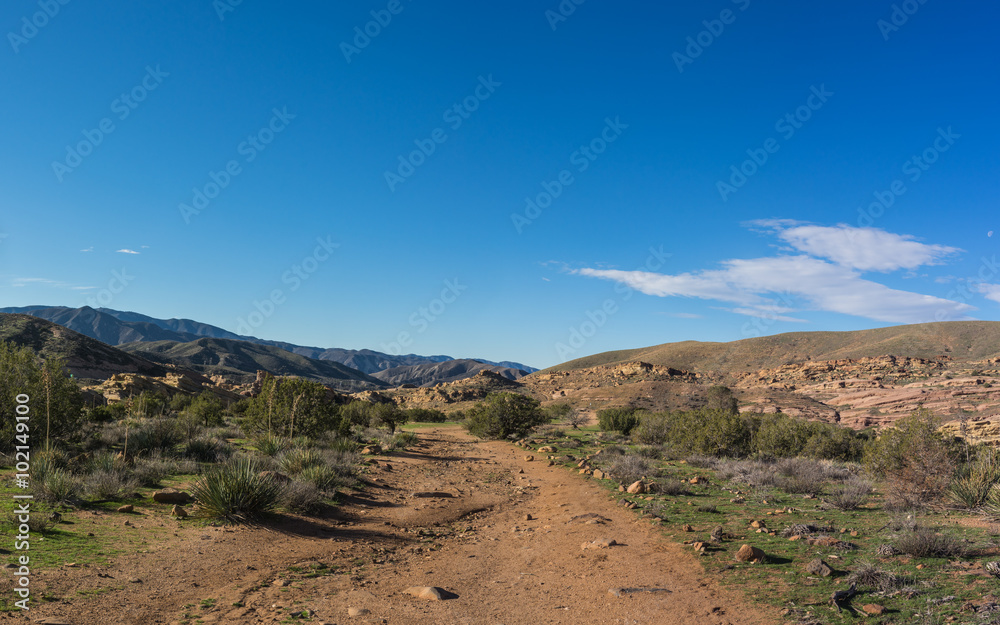Pacific Crest Trail in southern California