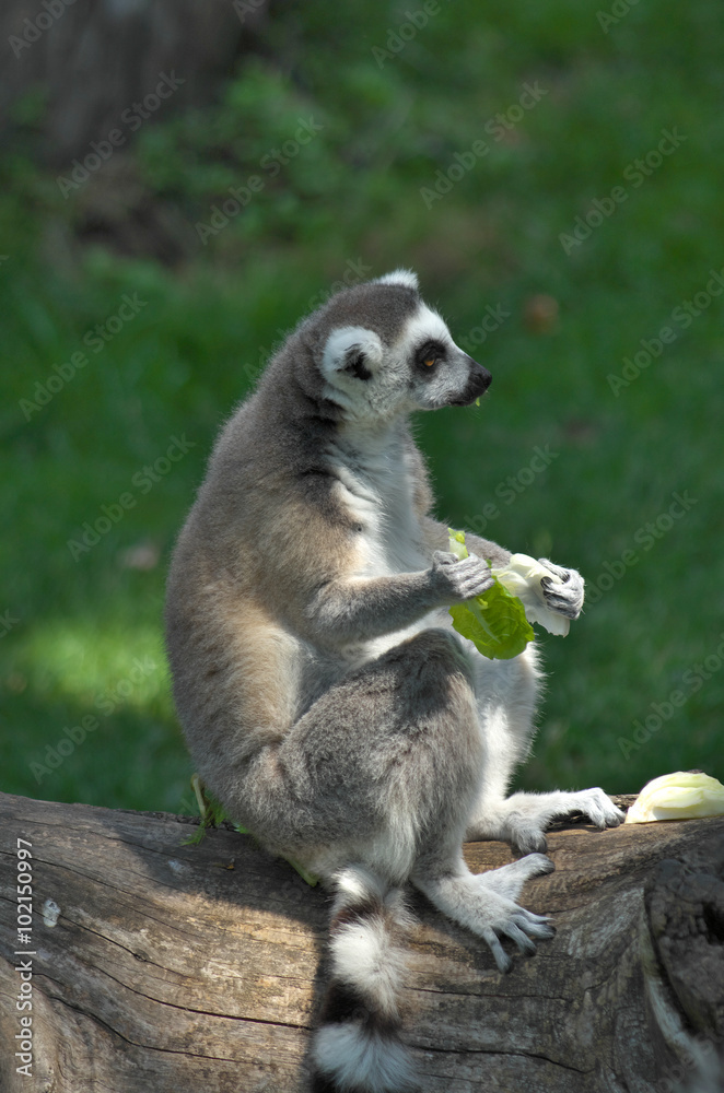 Obraz premium Breakfast