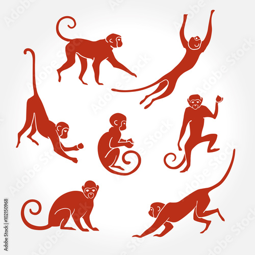 Carta da parati Scimmie - Carta da parati Monkey silhouette  new year
