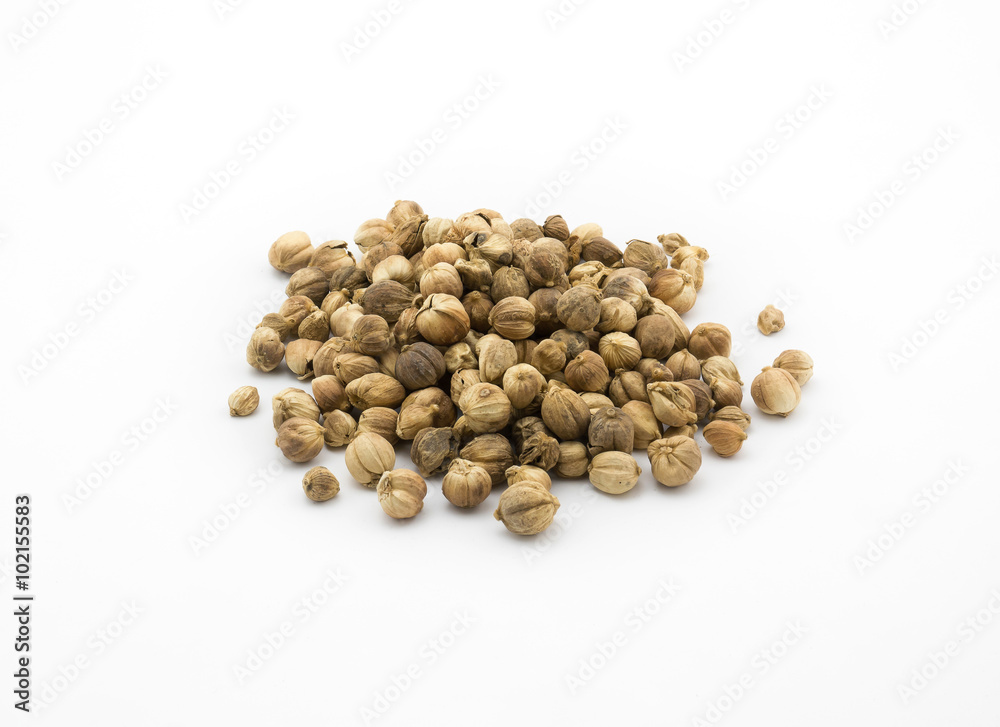 Cardamom seed isolated on white background Cardamom seed isolated on white background