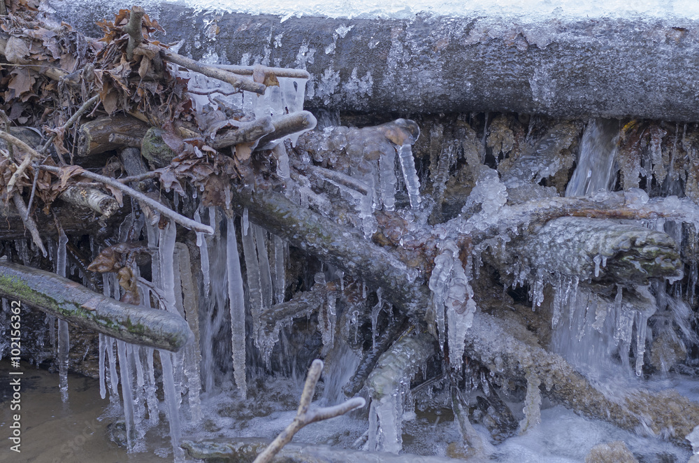 Bizarre ice figures on the branches fallen in the forest stream Bizarre ice figures on the branches fallen in the forest stream