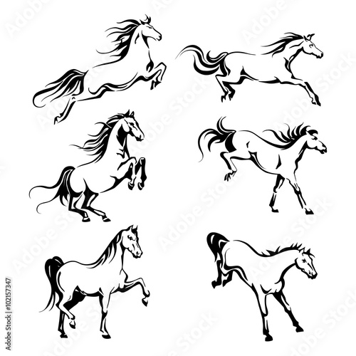 Set with hand-drawing graphic of a running horses