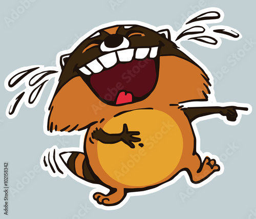 Raccoon