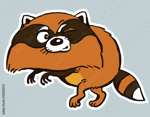 Raccoon