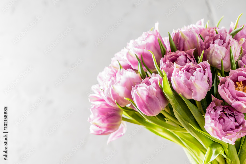 pink tulips - obrazy, fototapety, plakaty 