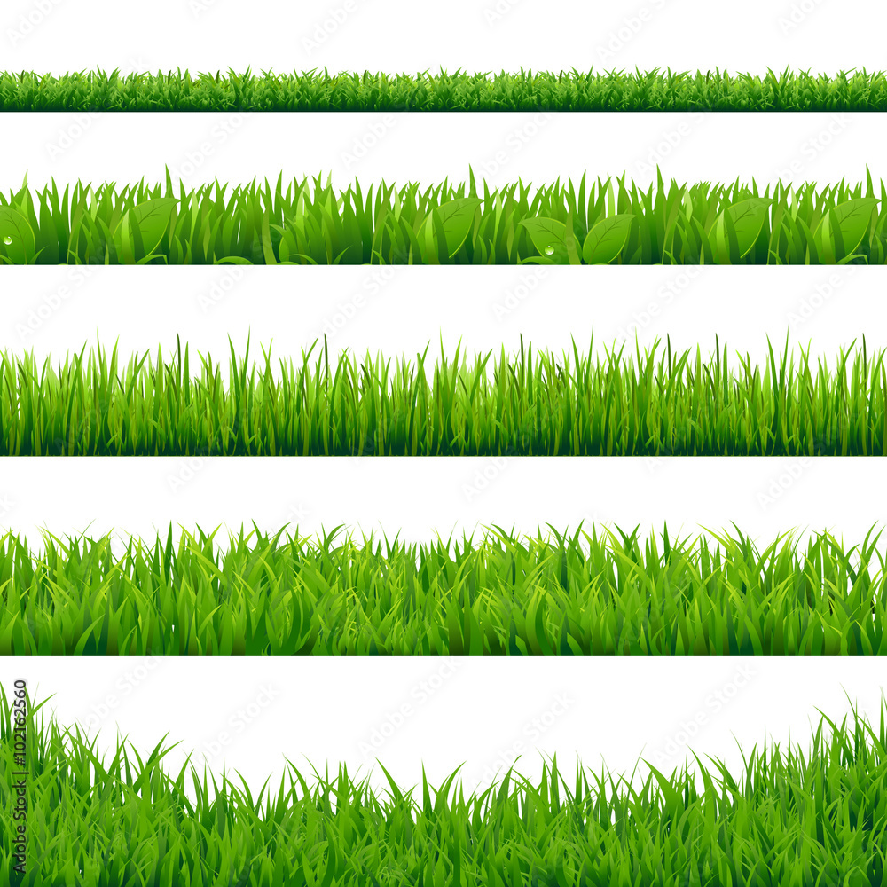 Fototapeta Green Grass Big Set