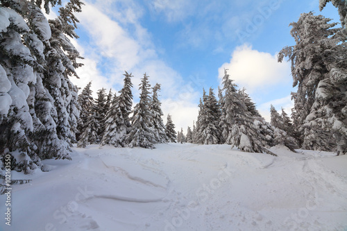 Snow Mountain. mountains under snow in the winter