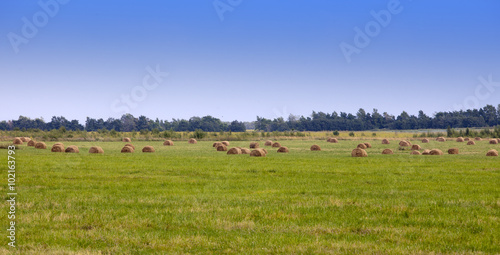 Stacks in the field