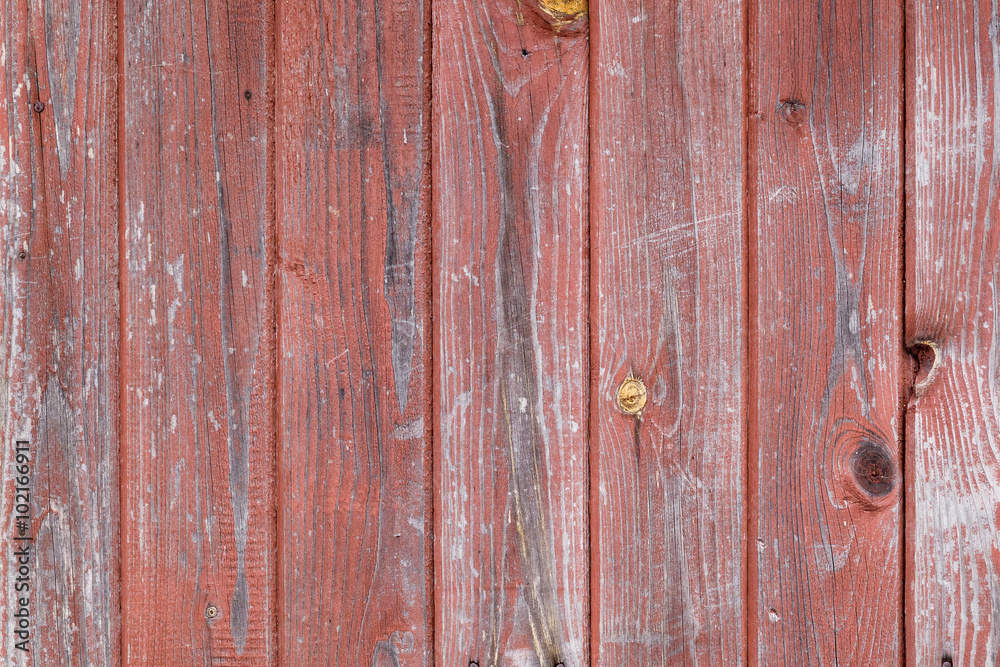 Fototapeta premium The old wood texture with natural patterns