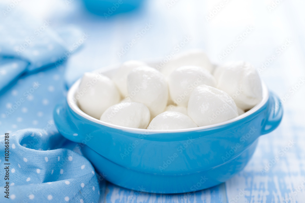 mozzarella mini mozzarella mini