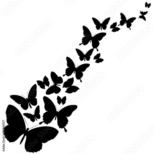 butterflies design