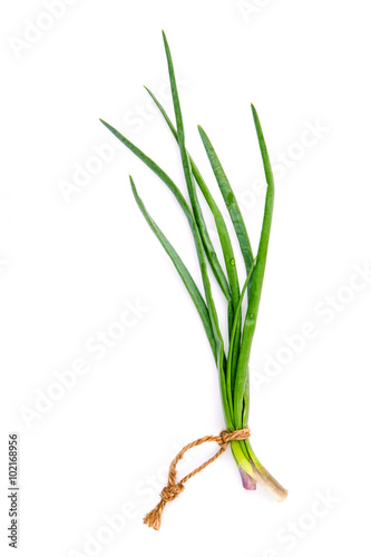 Branch of fresh spring onions for seasoning concept isolated on