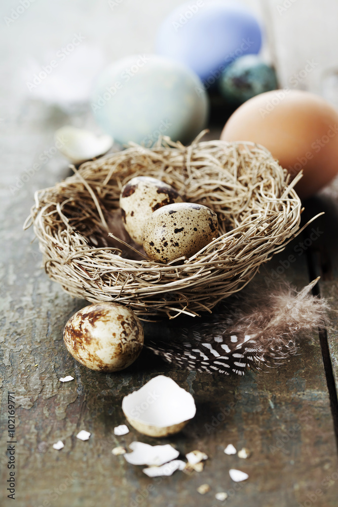 Easter eggs and nest on wooden background Easter eggs and nest on wooden background