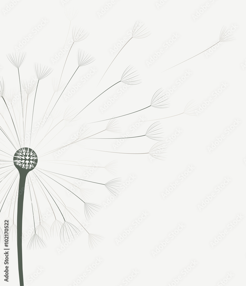 Vector dandelion flower 