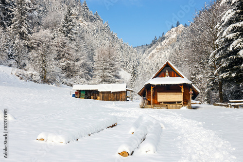 Winter Landscape In Pieniny Mountains, Poland © dziewul