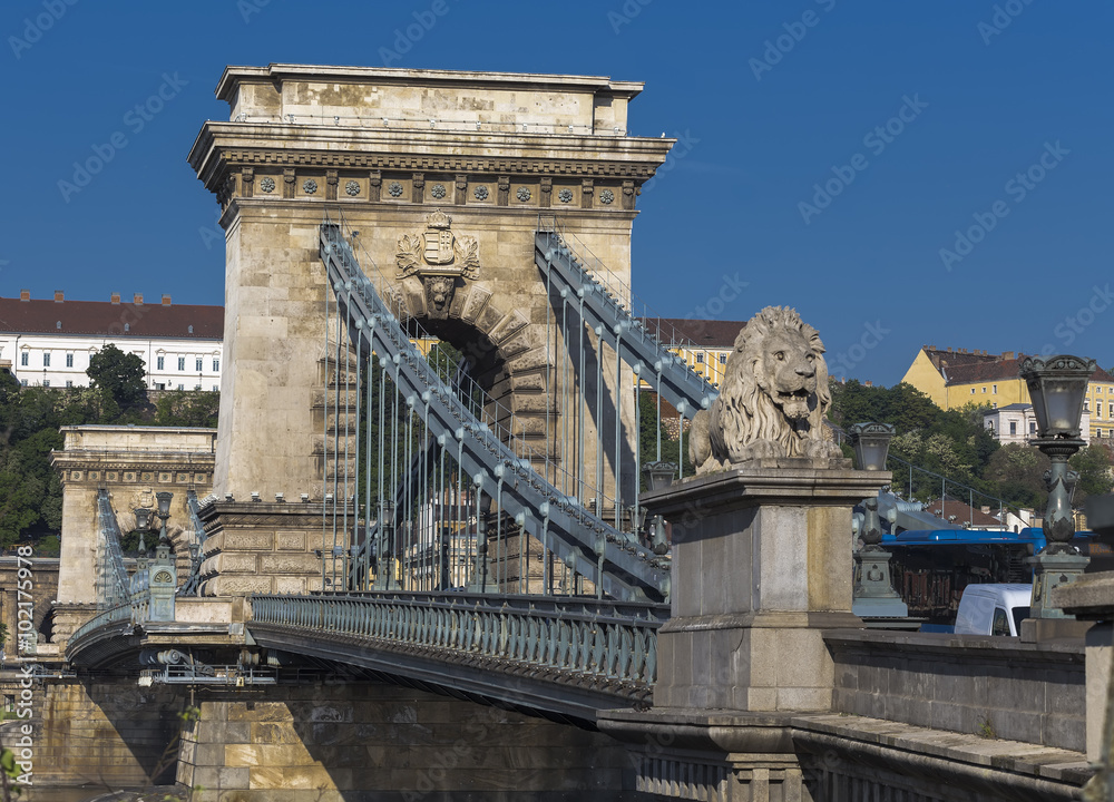 Naklejka premium Chain Bridge